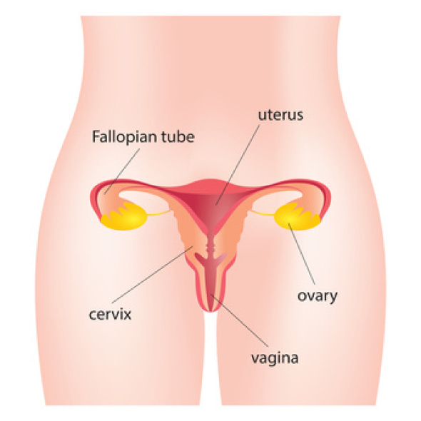 Vaginal Rejuvenation 1